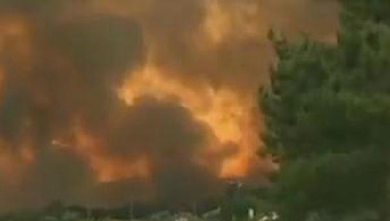 葡萄牙森林火灾已致至少43人遇难 另有多人受伤