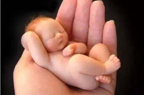 世界上最小的婴儿 看着就像个假人