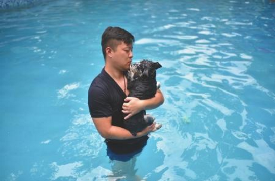 因爱犬中暑去世 男主人修泳池专供狗狗纳凉锻炼