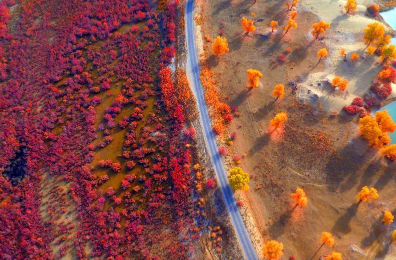 新疆塔里木盆地：“极旱荒漠”里呈现出“极致美景”
