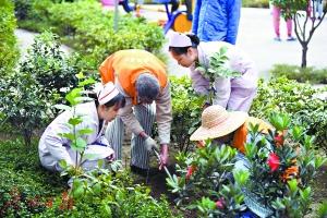 种花弄草可治病？康复机构探索“园艺疗法”