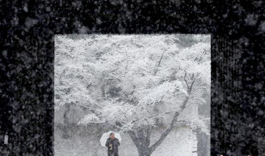 时隔48年 记录到东京市中心气温低至零下4度