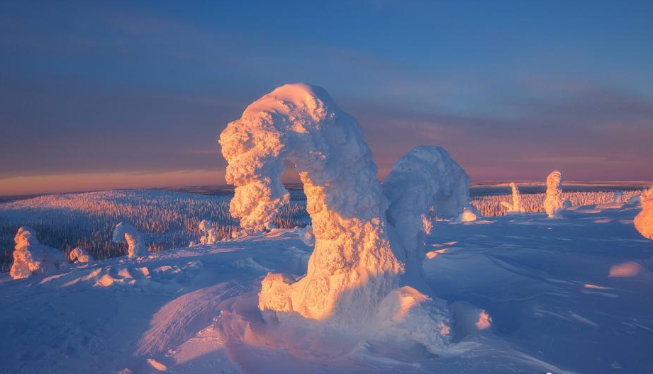 摄影师拍摄北极圈罕见“雪树”景观 恍如外星世界