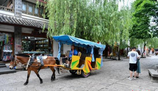 旅游市场秩序整治不会半途而废 将会越来越严