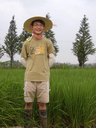 农学博士发表突破性成果 厘清水稻杂种不育难题