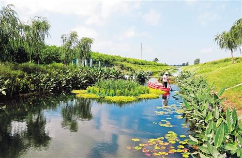 江苏泗洪“生态+”发展之路  水乡泽国建成绿色家园