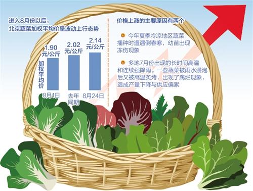山东寿光洪灾对北京蔬菜短期供应影响有限