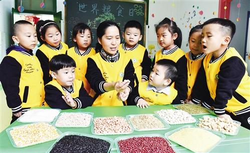 构建更高质量的粮食安全保障体系 端好饭碗