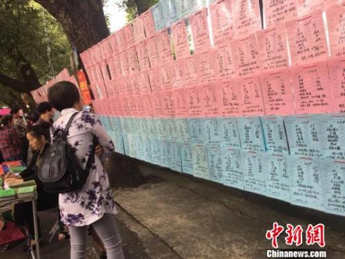 “双11”忙“脱单” 福州“相亲集市”仍受宠