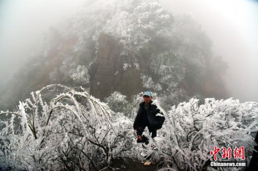 广东气温大降 清远金子山银装素裹