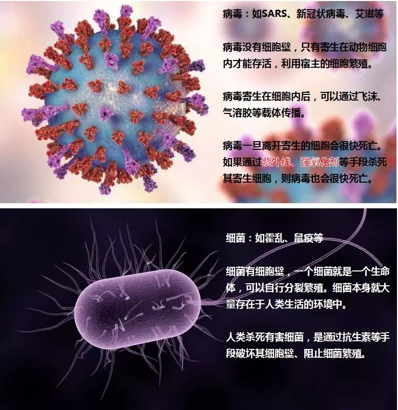 宅家防病毒，使用空气净化设备能预防新冠状病毒？？水之剑帮您释义